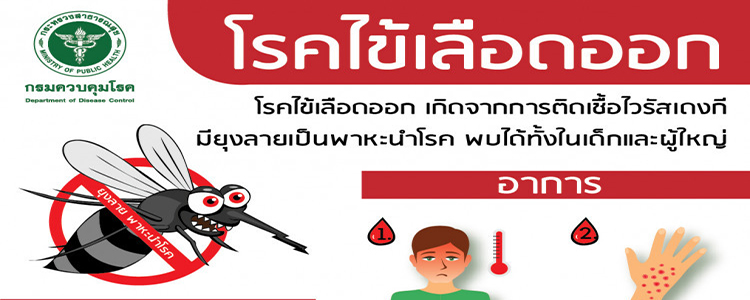ไข้เลือดออก (Dengue Fever)